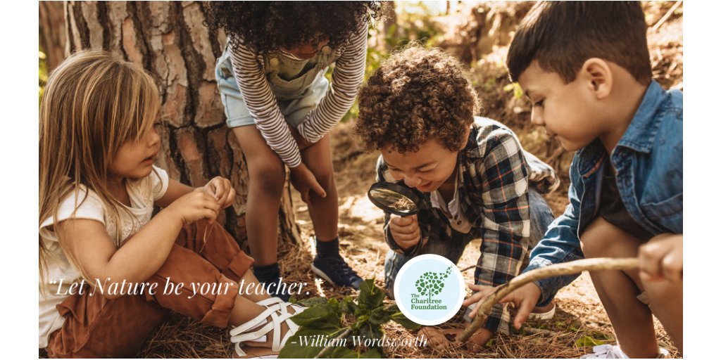 'Let nature be your teacher.' 
The ChariTree Foundation is excited to help support Elm Street Elementary School's new outdoor classroom + children's tree planting project. (in Summerside PEI)
#environmentaleducation #ForNature #cop26 @COP26 #outdoorclassrooms #childrenandnature