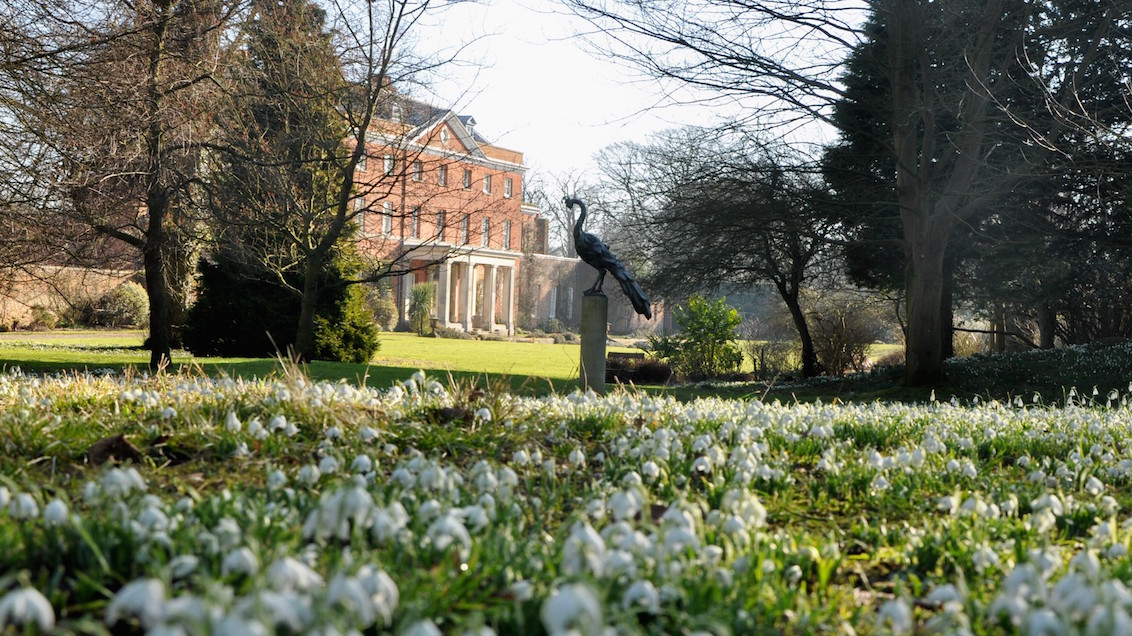 All Things Norfolk tweet media