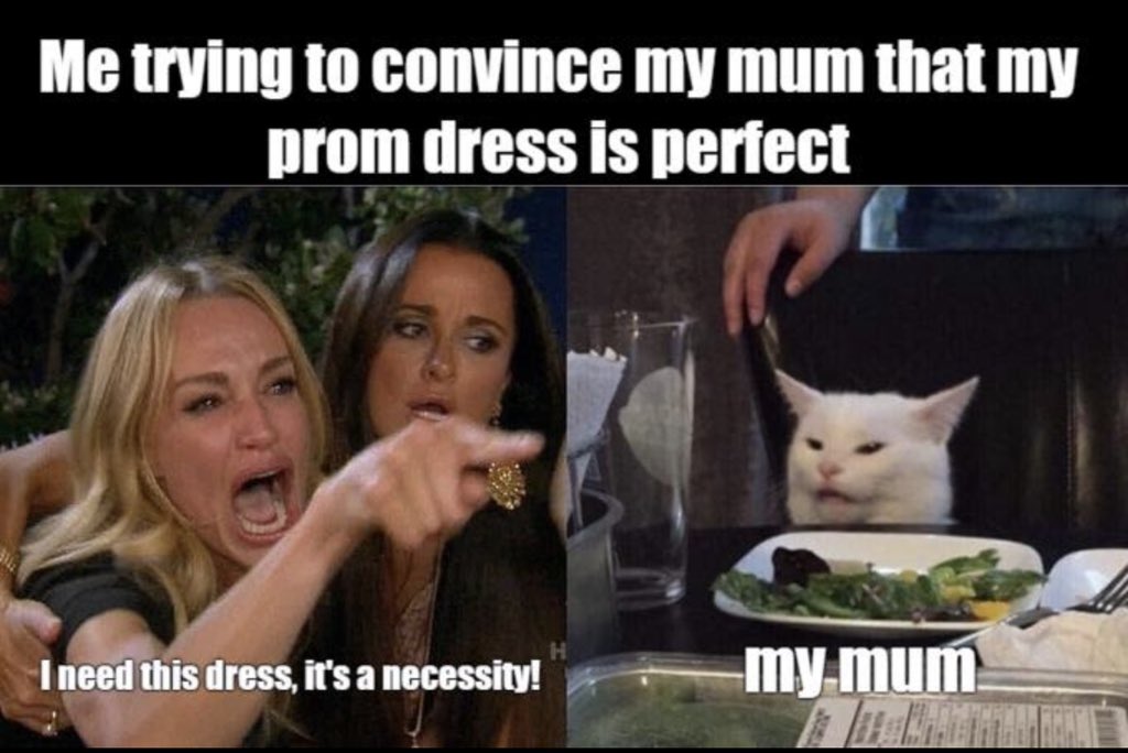 RocioqnR's tweet image. Algunos memes que me han hecho para repasar los modales en inglés: #modalverbs Some of the memes created to revise modal verbs in English.