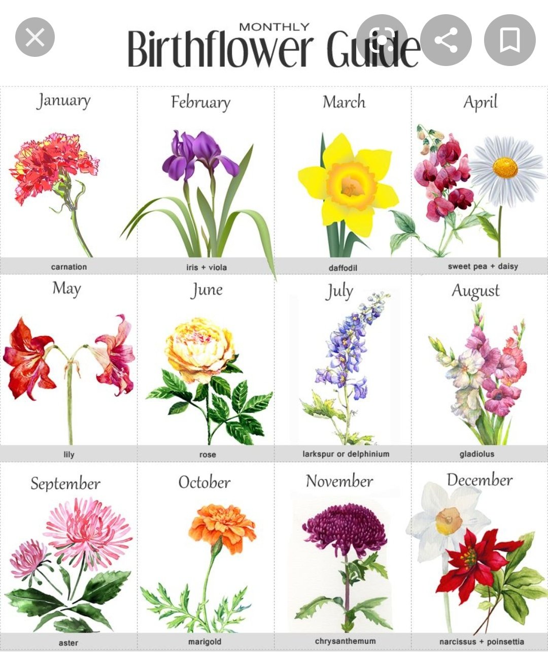 30 December Birth Flower Tattoos Narcissus Flower  100 Tattoos