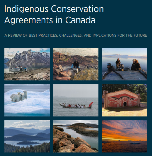 ThaideneNene's tweet photo. New report from @makewaytogether + @thefirelightgp identifies best practices in Indigenous conservation agreements, incl ours: maintaining harvesting rights, creating opps for self-determination + developing a long-term, relationship-based approach. Read: https://t.co/vYVJQP0Cct https://t.co/Jg8dZ3W6Ot