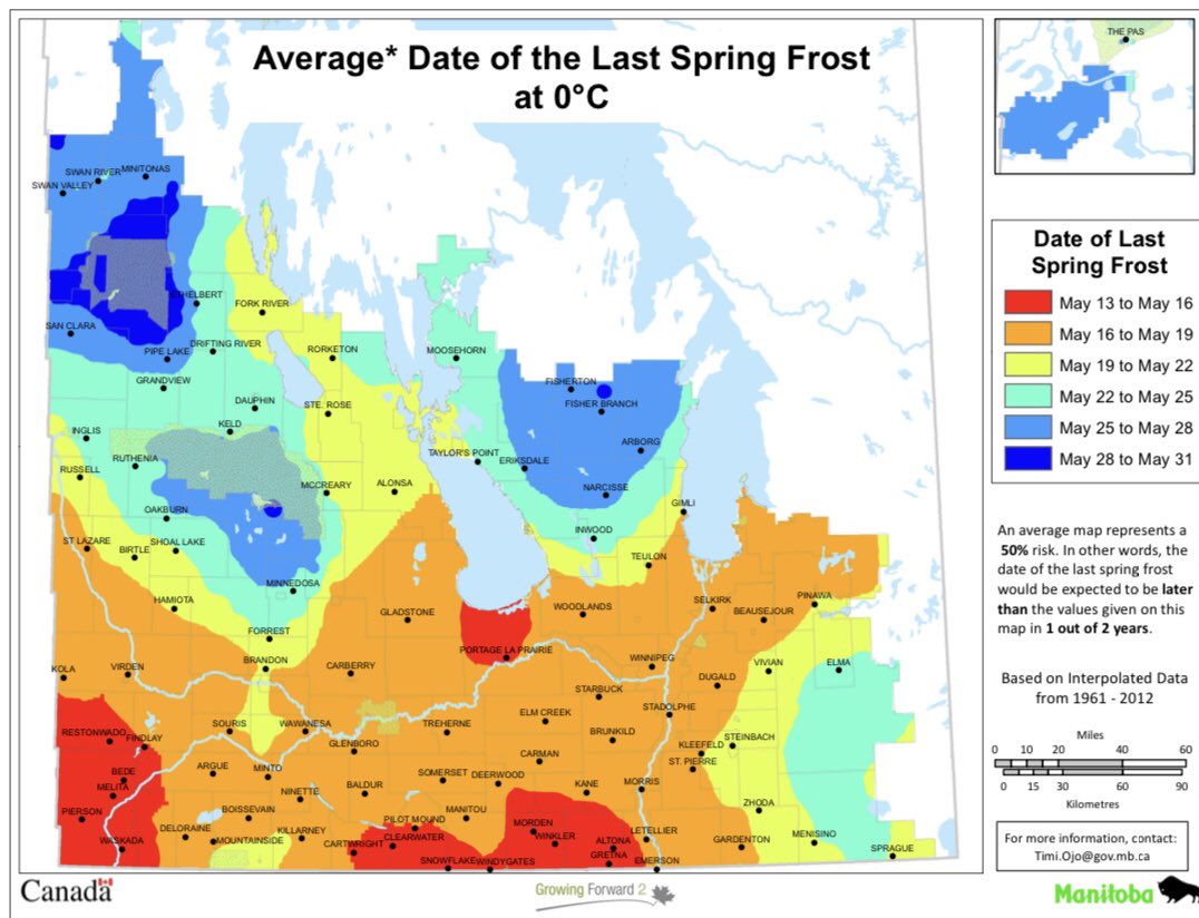 prairiegiants's tweet photo. Lots of people asking when the “right” time to seed canola is. No magic date, but on average the last killing spring frost for Parkland area is May 24th. https://t.co/Cy1mgEomuN