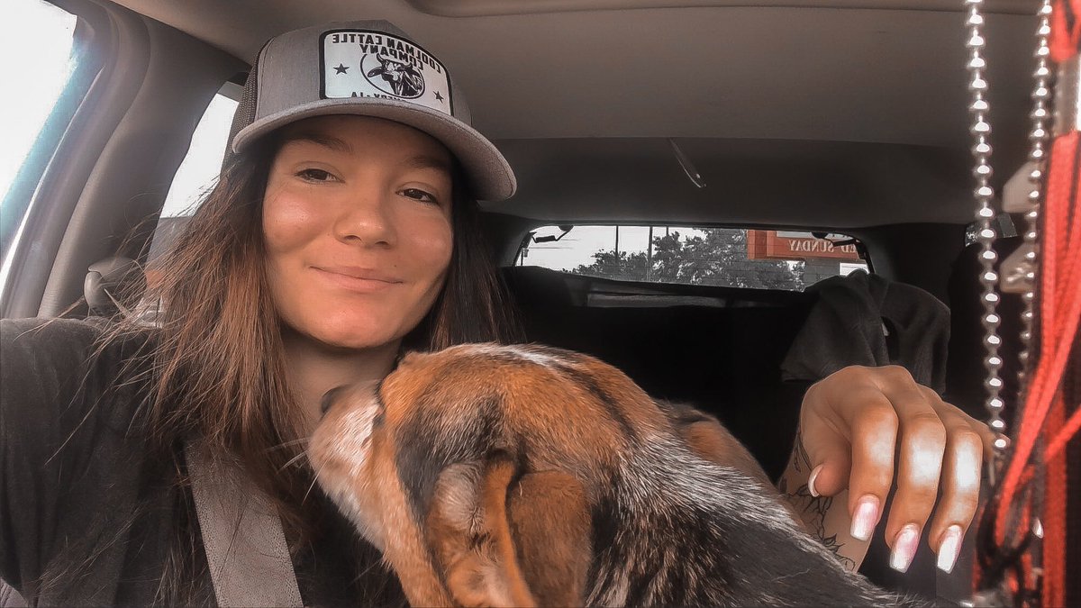 LaredoAnn's tweet photo. @CoolmanCattleCo is callie approved 🤟🏼♠️ https://t.co/ERmDMAKd3p