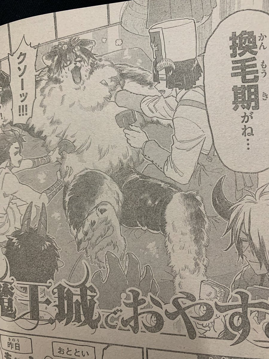 もふ犬が換毛期です 