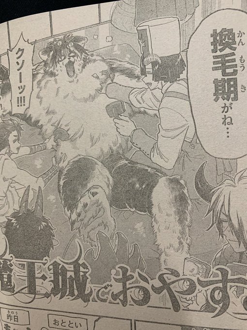 もふ犬が換毛期です 