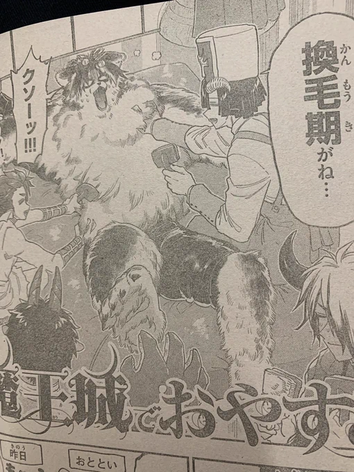 もふ犬が換毛期です 