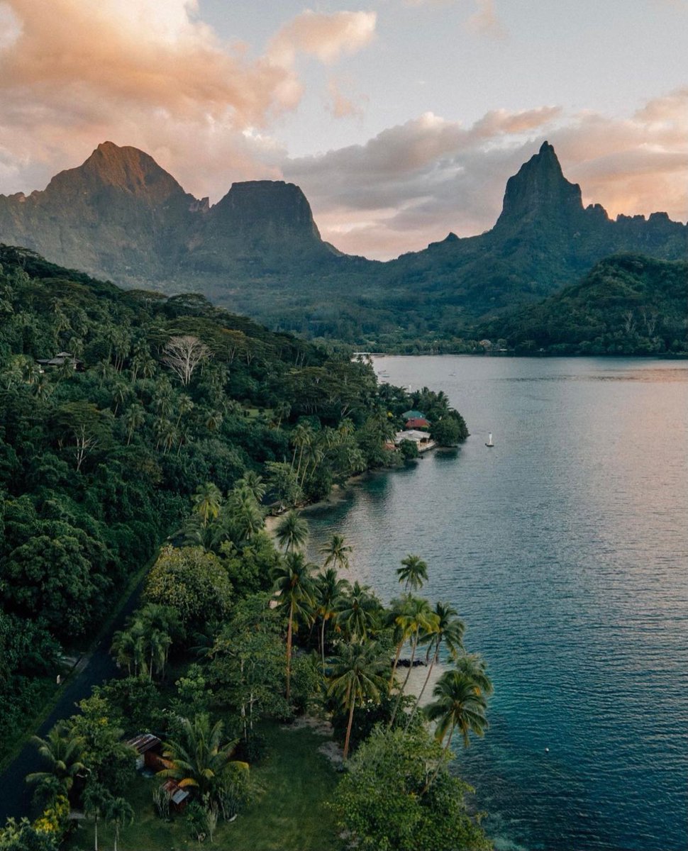 TripscoutApp's tweet photo. Moorea, French Polynesia 🇵🇫
via: stefan_elmer https://t.co/EsSG6WSiBg