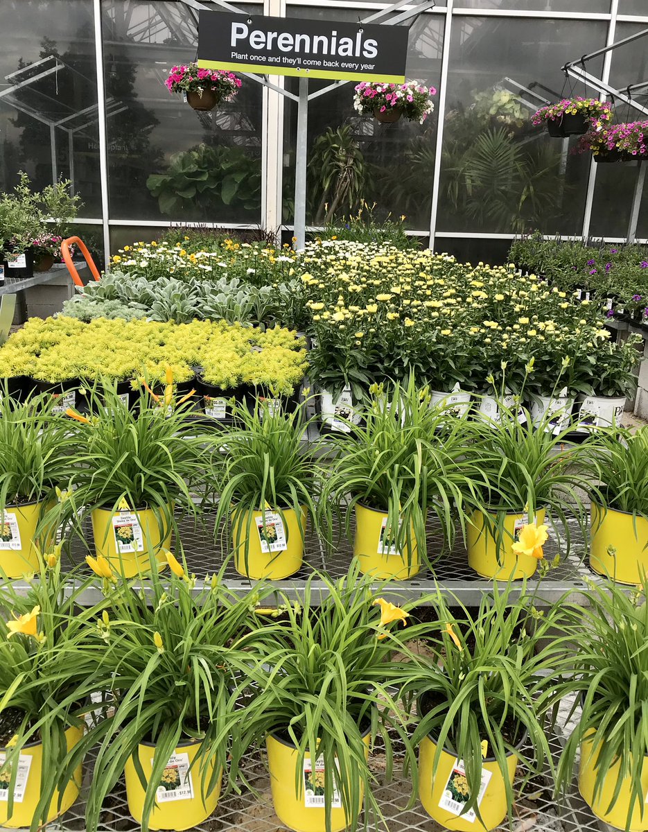 shanecombscobb's tweet photo. Loving the color explosion at Matthews #HD3602 Of course yellow and purple are my favorite pairings! π π
@pps_s_atlantic @JarrettBennett3 @FernandoStgo08 https://t.co/OAIni13hqW
