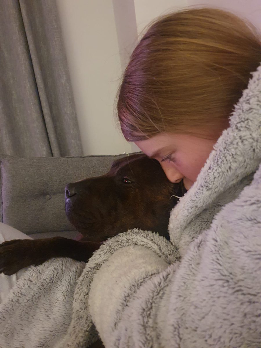 sharpullcoco's tweet photo. Looking after my sisfur who is feeling poorly sick! https://t.co/Vv6F4gt3oF