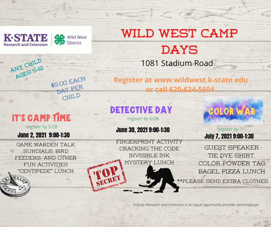 Looking for something to do this summer?