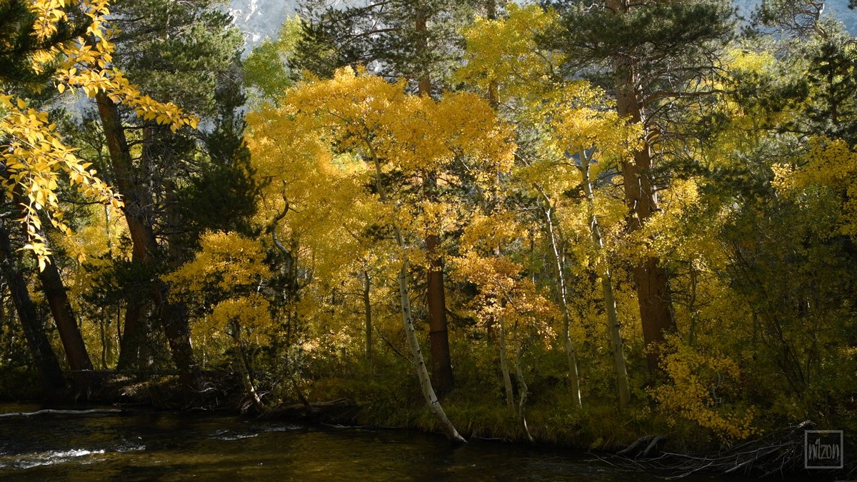 Here is a scene from a nature relax video I shot in the Eastern Sierras, California last fall.

Video: youtube.com/watch?v=1XIjj1…

#mindfulness #relax #naturelovers #autumn