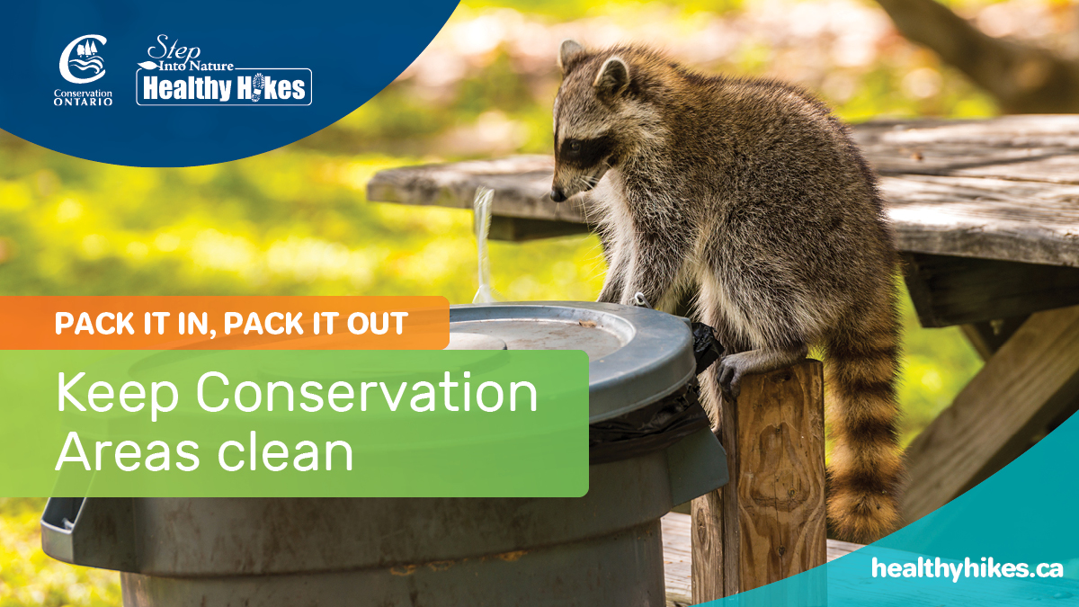 Today is Ontario’s annual Day of Action on Litter.

Please be considerate and help lessen the burden by responsibly disposing of garbage in bins and/or at home. bit.ly/3bl3adb #StepIntoNature #HealthyHikes #ConservationAreas #actONlitter 🚯🚮