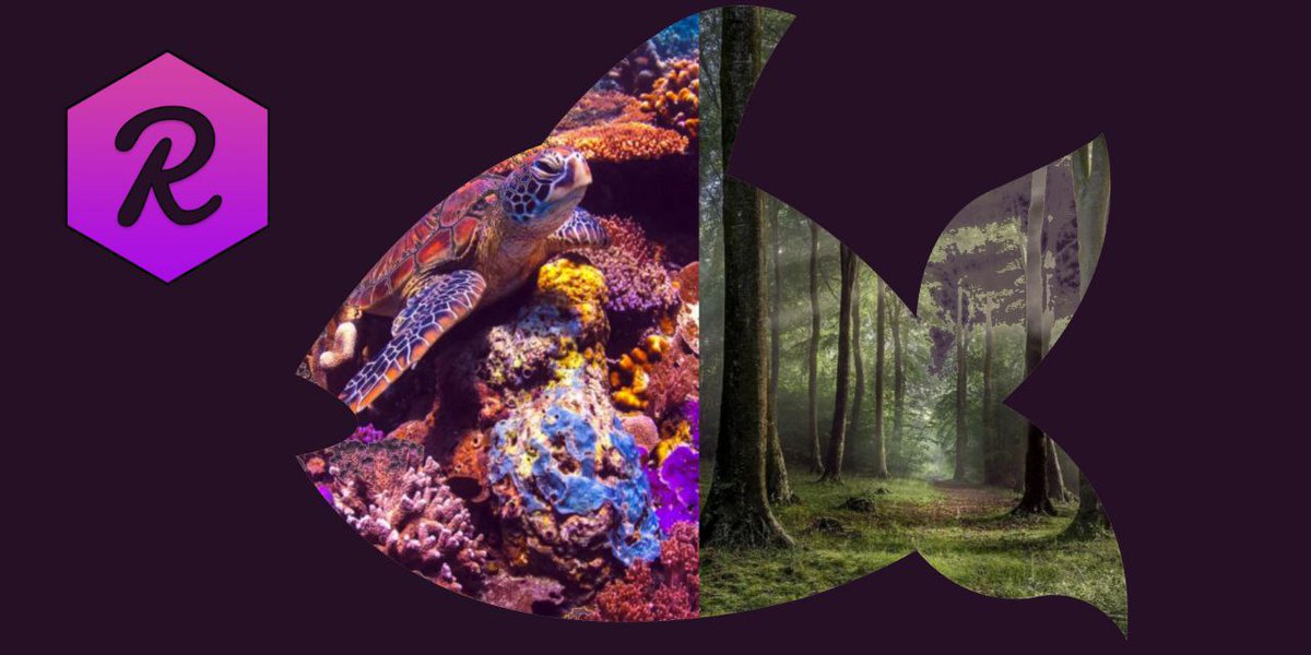 droopy_kat's tweet photo. If you #Love the #earth and #Crypto , $REEF is the coin u need to fill your bags with.
Today #REEF proved to be ready to go towards and past its #ATH .
Do not hesitate and jump on-board #reefchain #ReefFinance #REEFMAINNETSOON #ReefKingOfDefi #cryptosphere #BTC #doge #mainnet https://t.co/uWrFJer50M
