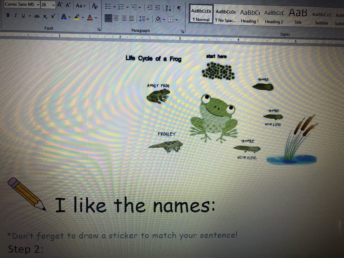 Sharon Stockmann tweet media