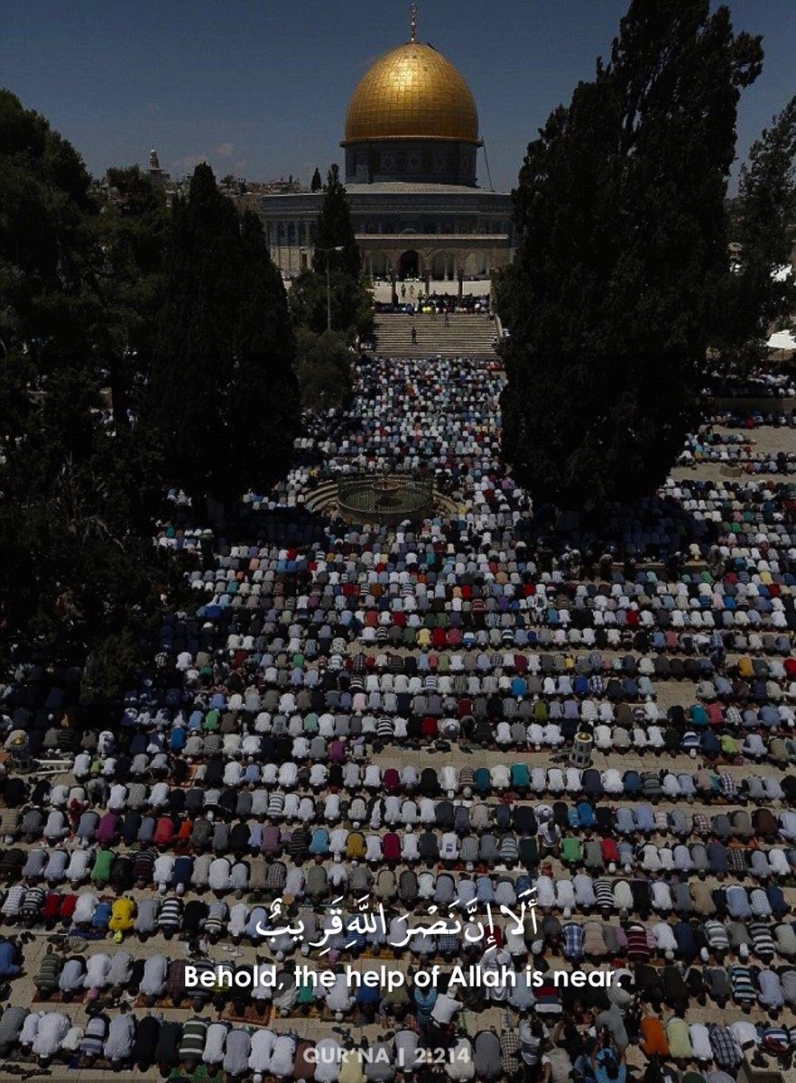 asma_e2002's tweet photo. The beauty of this picture penetrated my heart.🤤❤🇵🇸
#FreePalestine
#GazaUnderAttack #انقذوا_حي_الشيخ_جرا��
#savesheikhjarrah
#لن_يمر_الاقتحام
#لا_لتهويد_القدس
#حي_الشيخ_الجراح
#غزه_تحت_القصف
#غزه_تقاوم  #غزة_تنتفض #غزة #القدس_تقاوم
#حكام_العرب_خونه https://t.co/lhrt1zG2T9