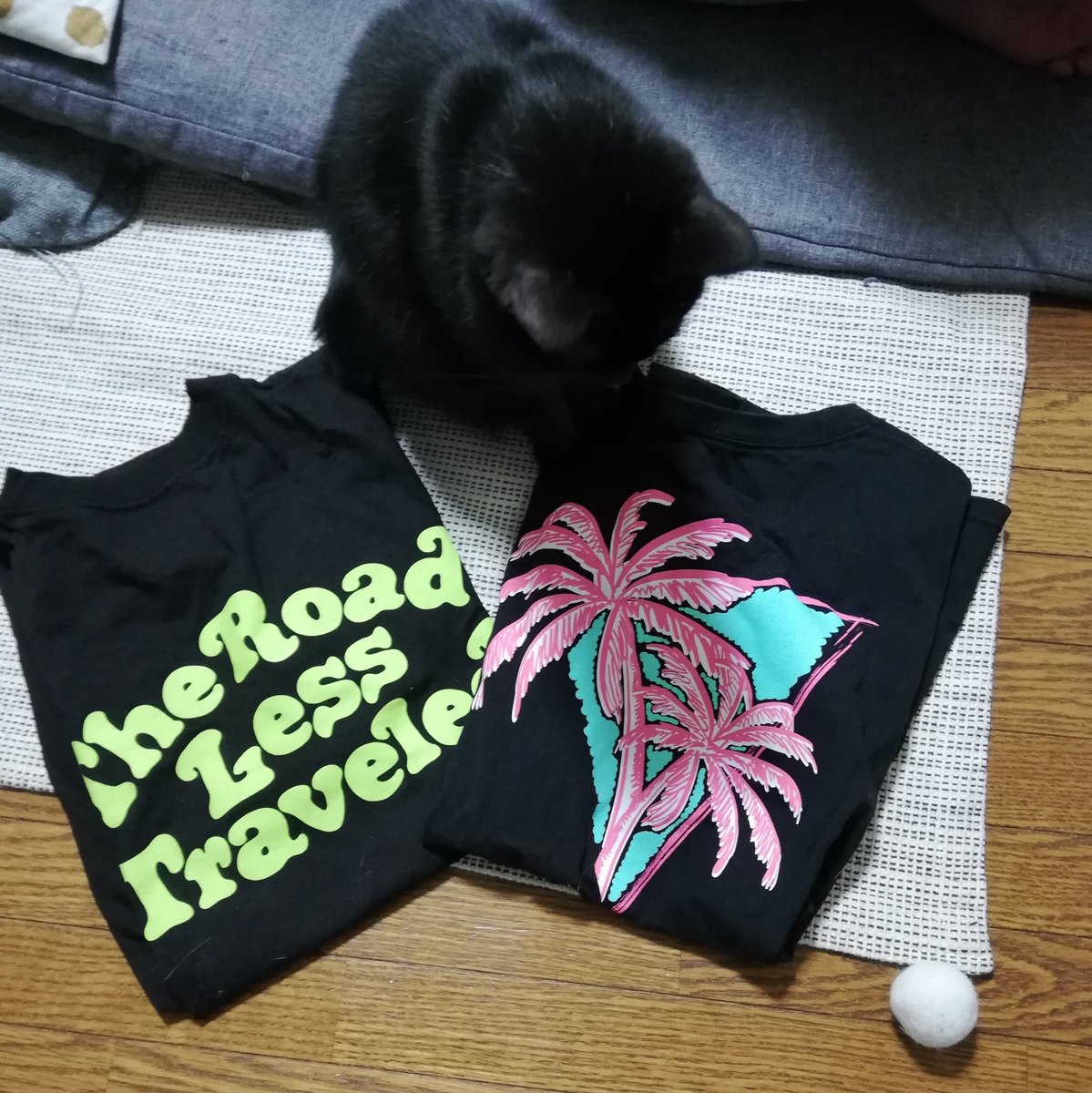 cocoajets's tweet image. 歓喜🙏✨不動の推し2人のじぇぼむ😻長年の密かな願いがこんな風に叶うとは、、2014年の私に教えてあげたい!!!!!!!!😭今迄ずっと別々に追ってたけどこれからは💕💙
#제이비_고하이어
#JAYB_GoH1ghr 
#Jaebeom #갓세븐 #GOT7 #JB   #JAYB #igot7 #Jaypark #H1GHRMUSIC #aomg #igot8