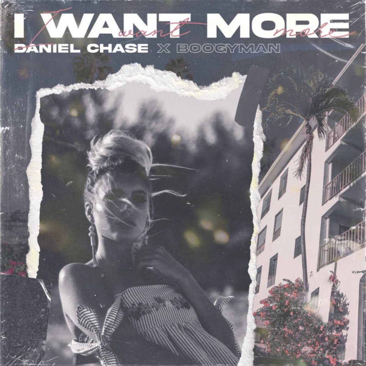 Daniel Chase tweet media