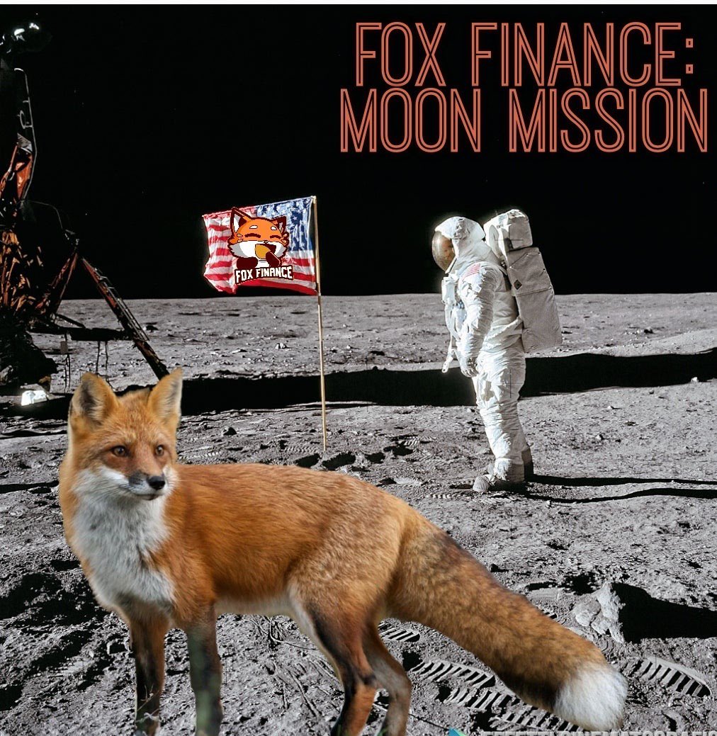 MiticoOk's tweet photo. Imagenes que llegan desde el Satélite de @Jjsuarezjatar 👳🏾‍♂️
#FoxToTheMoon 🦊🚀 https://t.co/mnYnmjMpm3