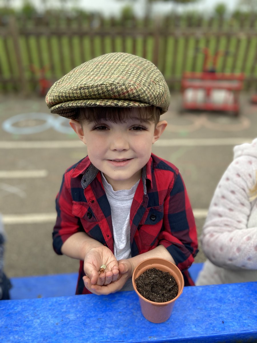 AppleStBarts's tweet photo. Apple Class had a fantastic farm day today! We had a Zoom session with farmer Louise and organiser Jenny. We learnt about the animals on her farm and enjoyed meeting her donkeys Tom, Dick and Harry! We looked for worms, made a wormery, made seed bombs and planted lots!🚜🐏🐖🐄 https://t.co/Les71gtl8i