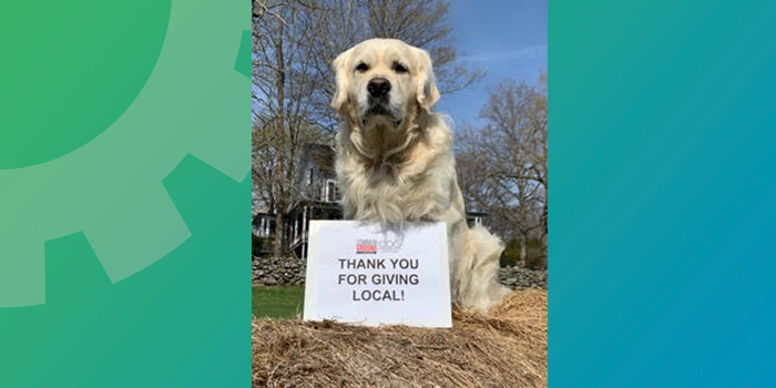 Jane_Whitney_'s tweet photo. Thank you to @CCF1923 for another successful Give Local Campaign. Truman says thank you too. 😊 #givelocal https://t.co/JFAjLUb8eX