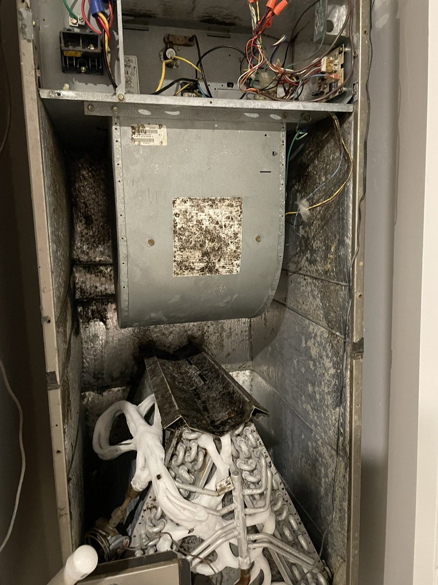 Br00TaLDaN's tweet photo. Most of y’all know my air con broke last week and me + Bowser have been living under less than ideal conditions (esp in Florida) What I thought was gonna be a $150 expense has now turned into me having to get a brand new AC install.

Every $ and RT helps.

https://t.co/qMJFhCnr1K https://t.co/MzoEUKQYyl