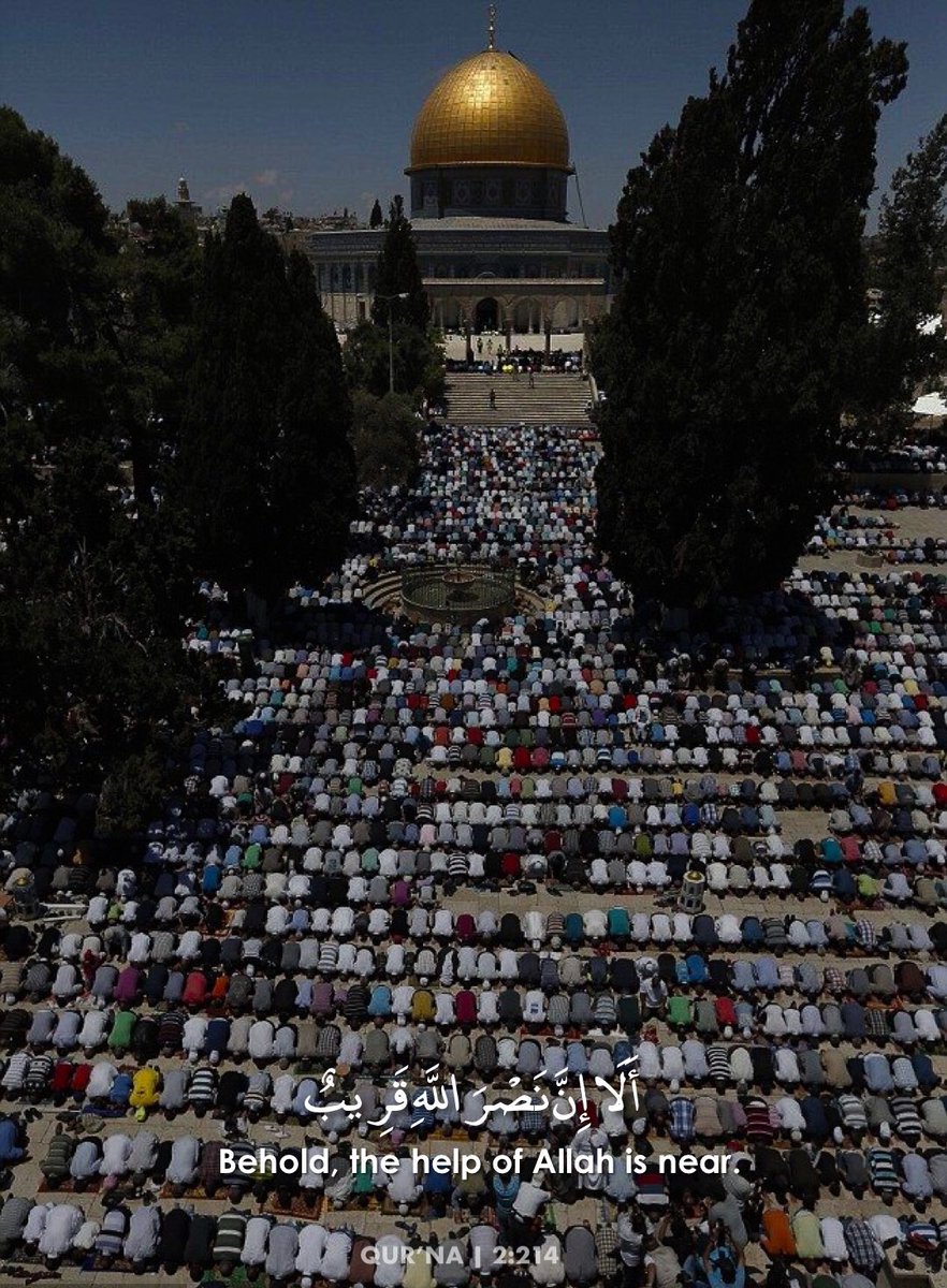 _So0oSY's tweet photo. The beauty of this picture penetrated my heart.🤤❤🇵🇸
#FreePalestine
#GazaUnderAttack #انقذوا_حي_الشيخ_جراح
#savesheikhjarrah
#لن_يمر_الاقتحام
#لا_لتهويد_القدس
#حي_الشيخ_الجراح
#غزه_تحت_القصف
#غزه_تقاوم  #غزة_تنتفض #غزة #القدس_تقاوم https://t.co/jpnYn2QM4E