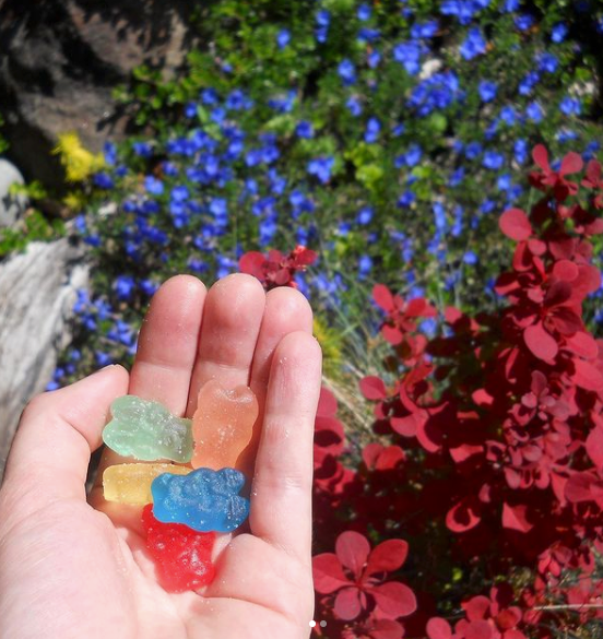 Premium__CBD's tweet photo. Is there a better way to get your daily dose than with these soothing fruity flavors?
Tested for purity and free of THC, these are some of our favorite gummy bears!
Find Eden’s Herbals and other #PremiumCBD gummies at https://t.co/vMtNx3gBxB! https://t.co/K3TCEok0RR
