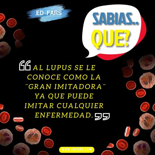 edfars_oficial's tweet photo. #diamundialdelupus #edfars #mayo2021 #guayaquil https://t.co/qKrinlVQo5