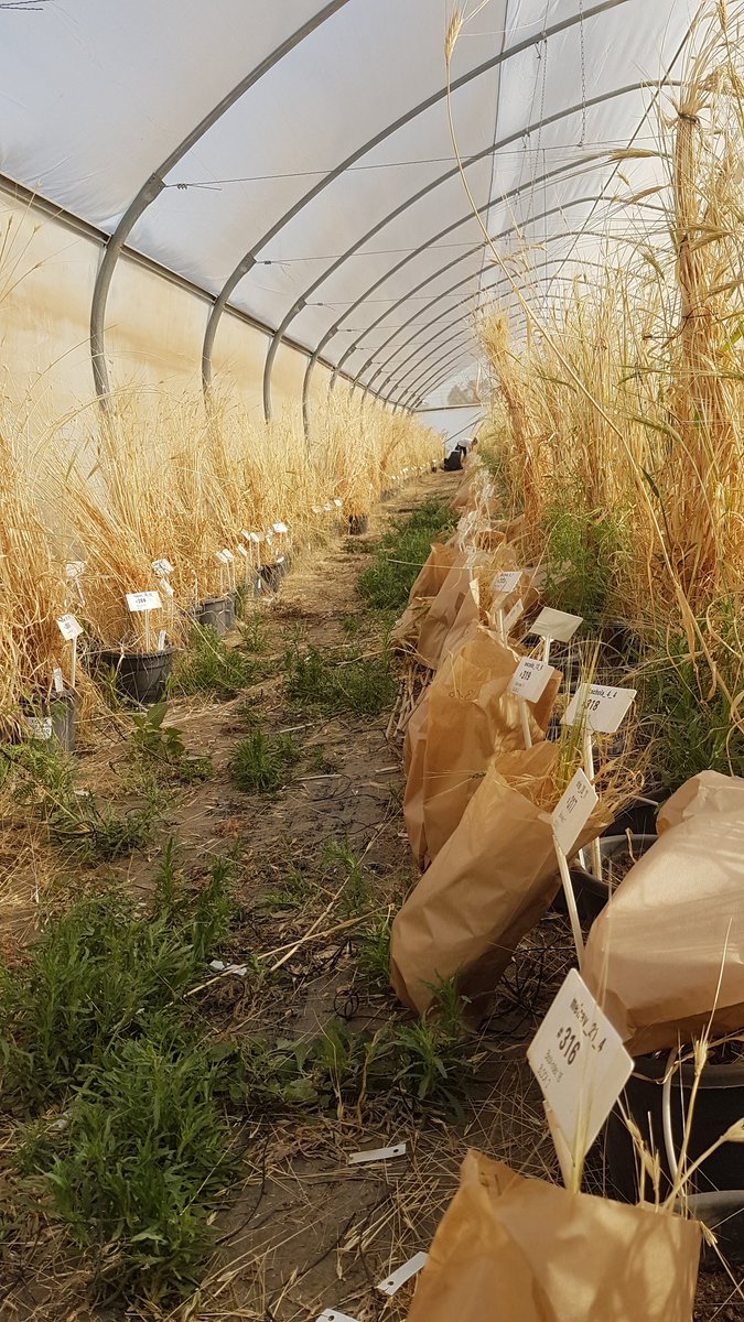 Hubner Lab tweet media