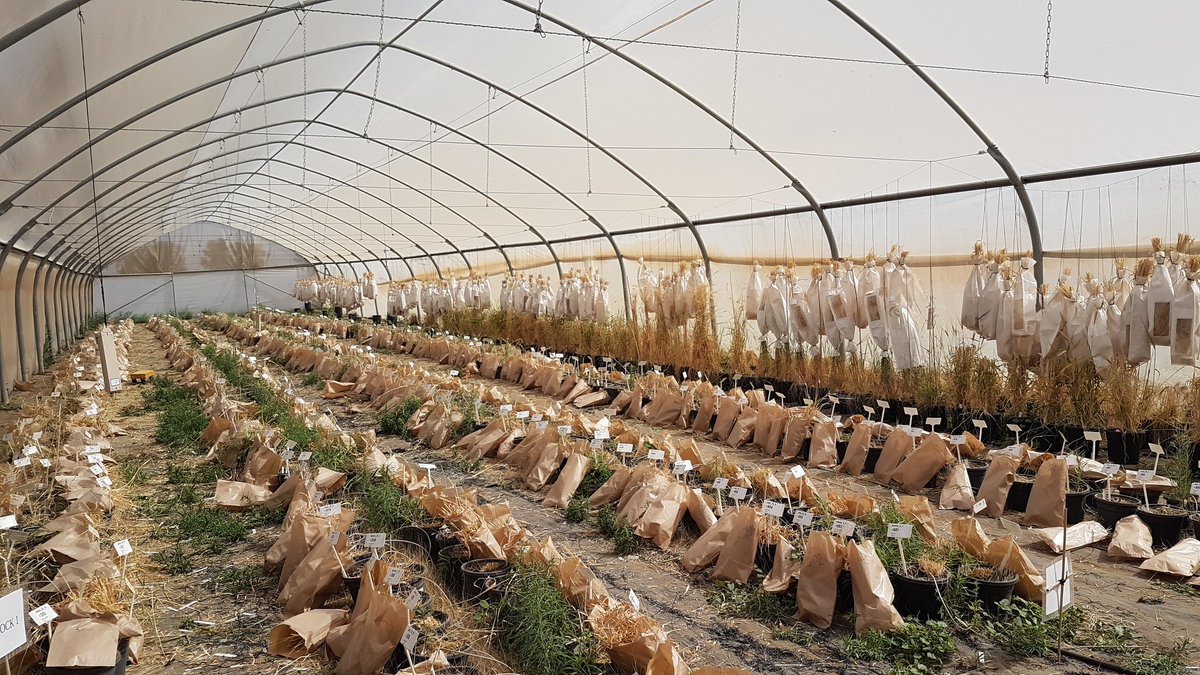 Hubner Lab tweet media