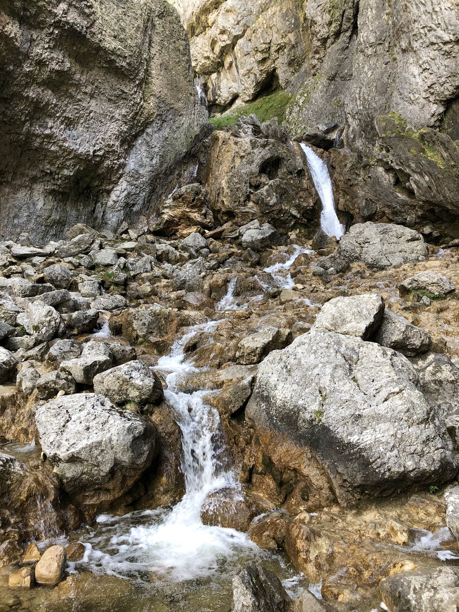 Dan Worsley tweet media