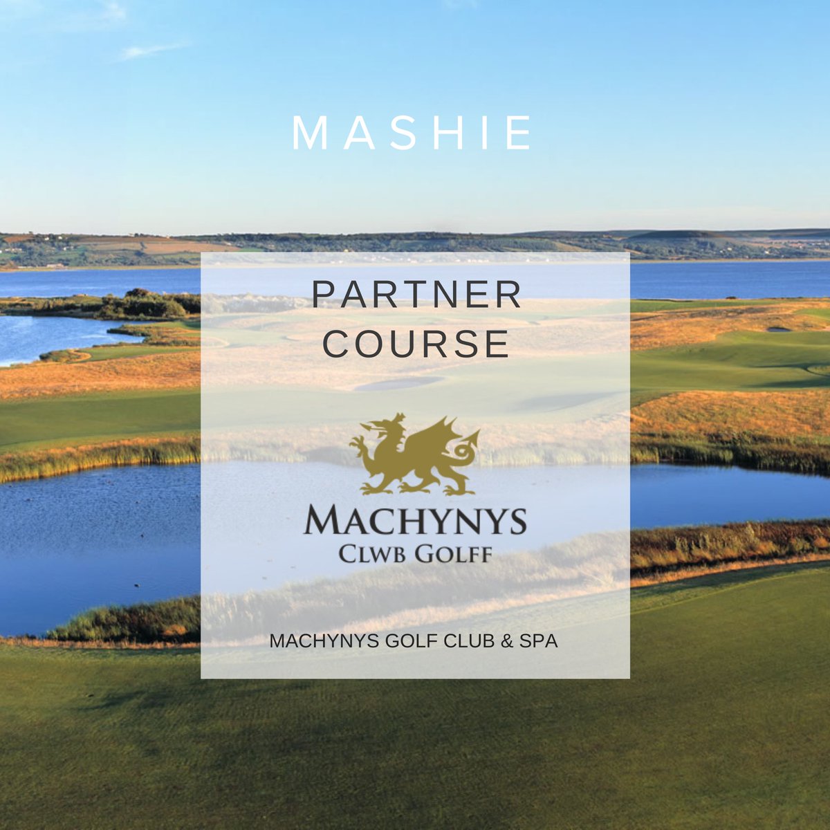 MASHIE Golf tweet media