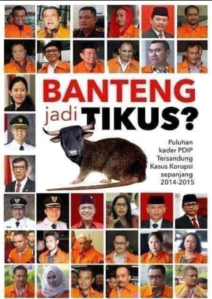 Fai Nomady tweet media
