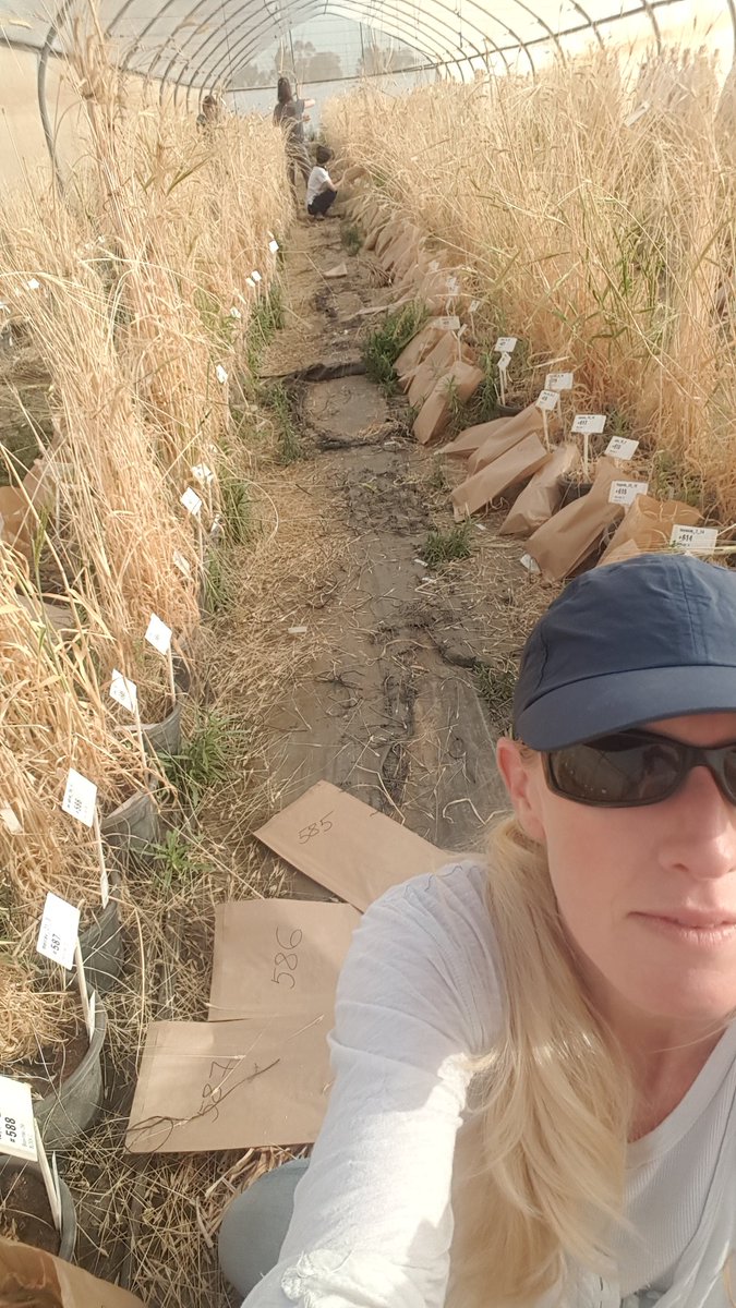 Hubner Lab tweet media