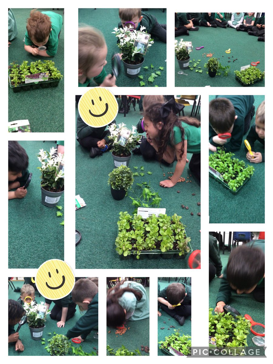 Timbertreeyear1 tweet media