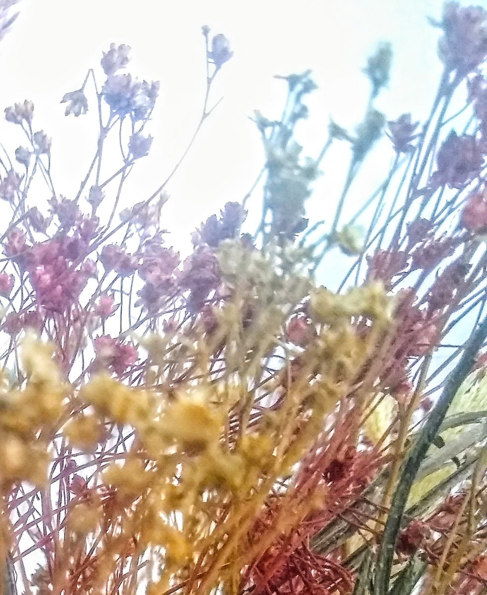 yozmcleari's tweet photo. .

    Pero si nos vencen,
y todo se enferma
    y muere:

que las palabras subsistan,
    agolpadas en poemas,

como puños cerrados,
    alzados a cielo abierto.

#LYF15 #SocioPoetas
#TePlatico #CosasQueInspiran Martes 11 . https://t.co/s2Vs7C1gEu