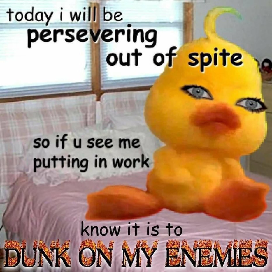 21ndplvtshym