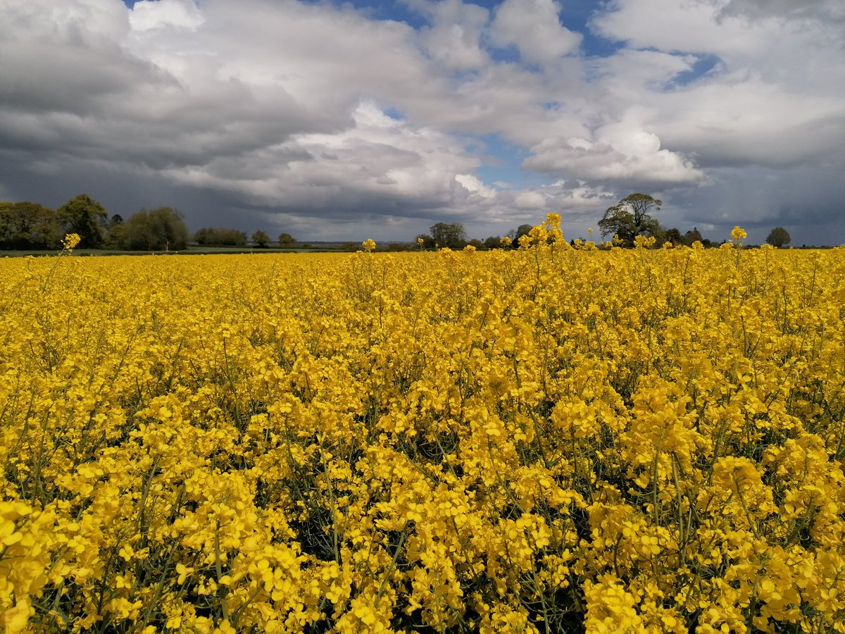 This is why I love rural living. #HarmerHill