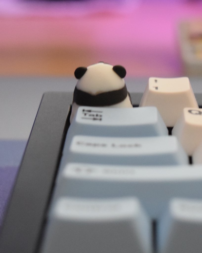 tinymakesthings's tweet photo. no talk me i angy https://t.co/WfXJEjZE0Y