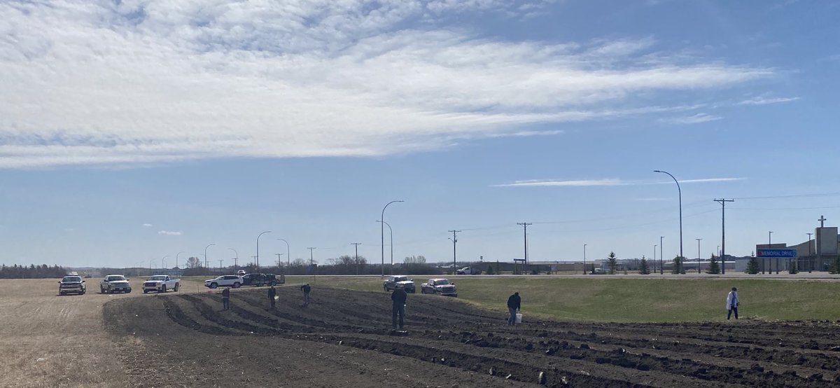 “Many hands make light work.” It was a great morning of potato planting at Christ the Redeemer Church KofC garden project. Praying for a bountiful harvest to support <a href="/HolyTrinitySD/">Holy Trinity</a> <a href="/we_areallsaints/">All Saints Catholic</a> and @ChinookSD Breakfast For Learning programs next school year. 🌧☀️🌧☀️🌧☀️