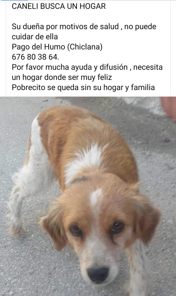 #Caneli