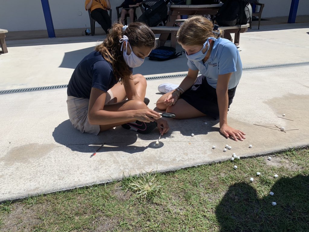 The Benjamin Middle School tweet media