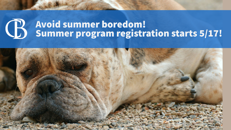 CBSD's community school is offering summer sports camps, mock trial, music &amp; arts camps, and many other activities - register through MyPaymentsPlus at www2.mypaymentsplus.com/welcome beginning May 17!