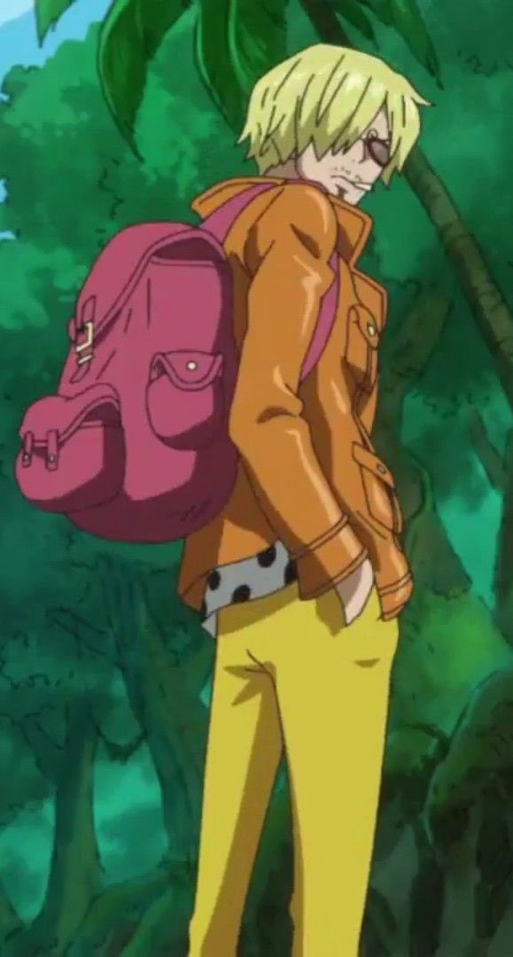 Sanji’s fits in zou >>