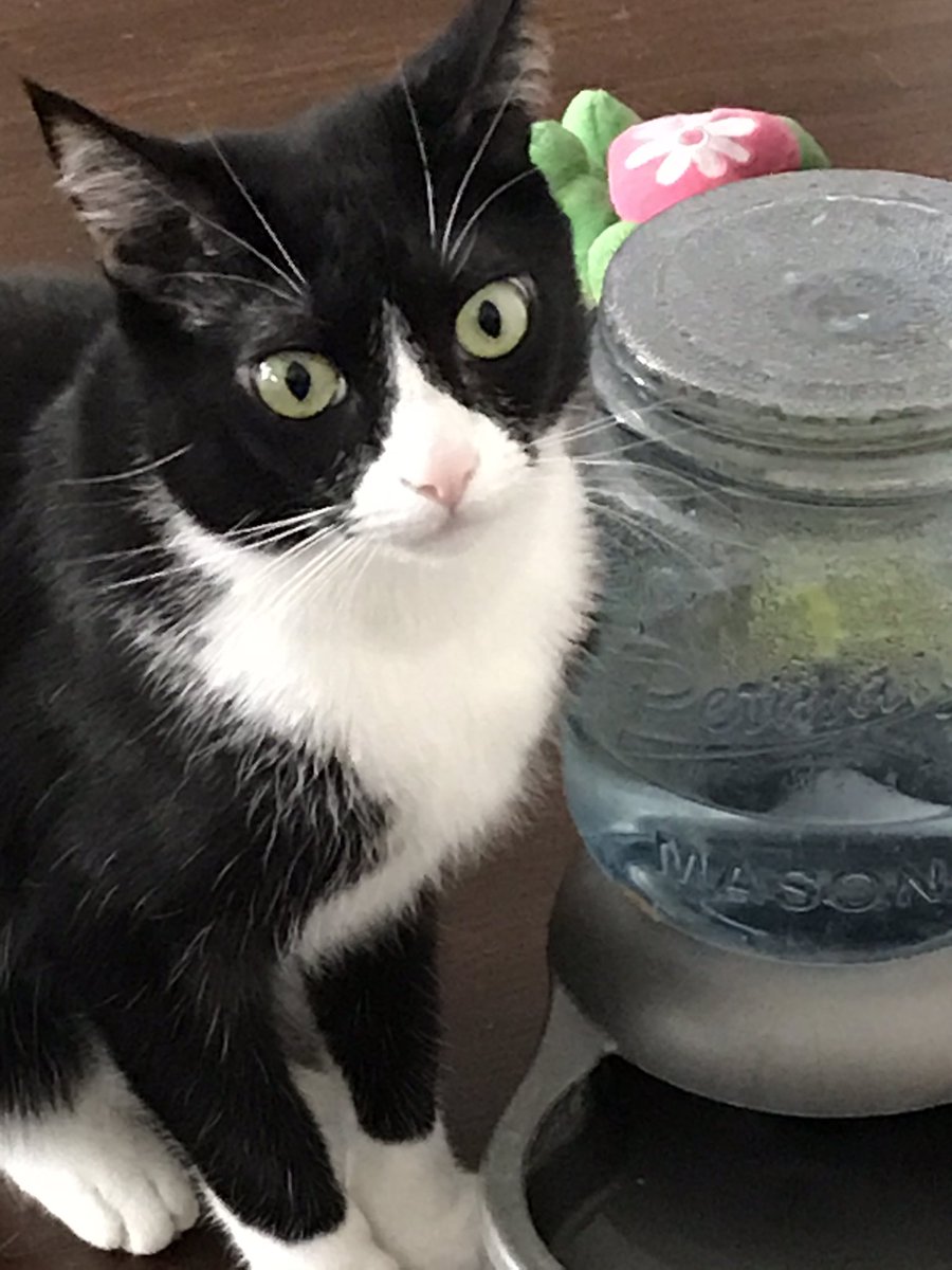 Must Protect Coald Water. At all cost a