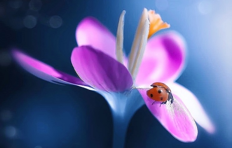 Good Afternoon Twitterfolk
✨🌸🌟🦋😊😇😊🦋🌟🌸✨