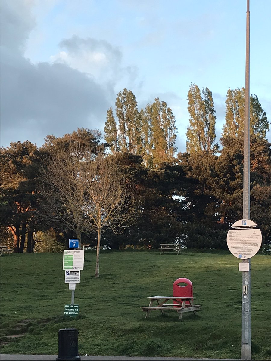 _IanAdams's tweet photo. Something different! #TreeClub 🌳#ExeterServices https://t.co/2wsEW54Mtv