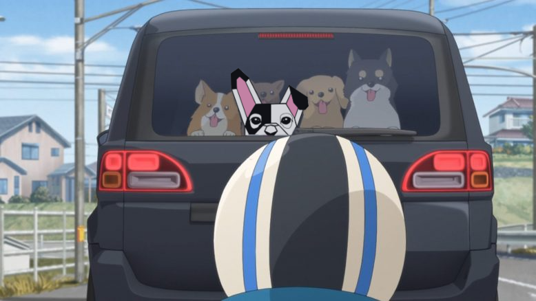 BDOG Cryptosphere tweet media