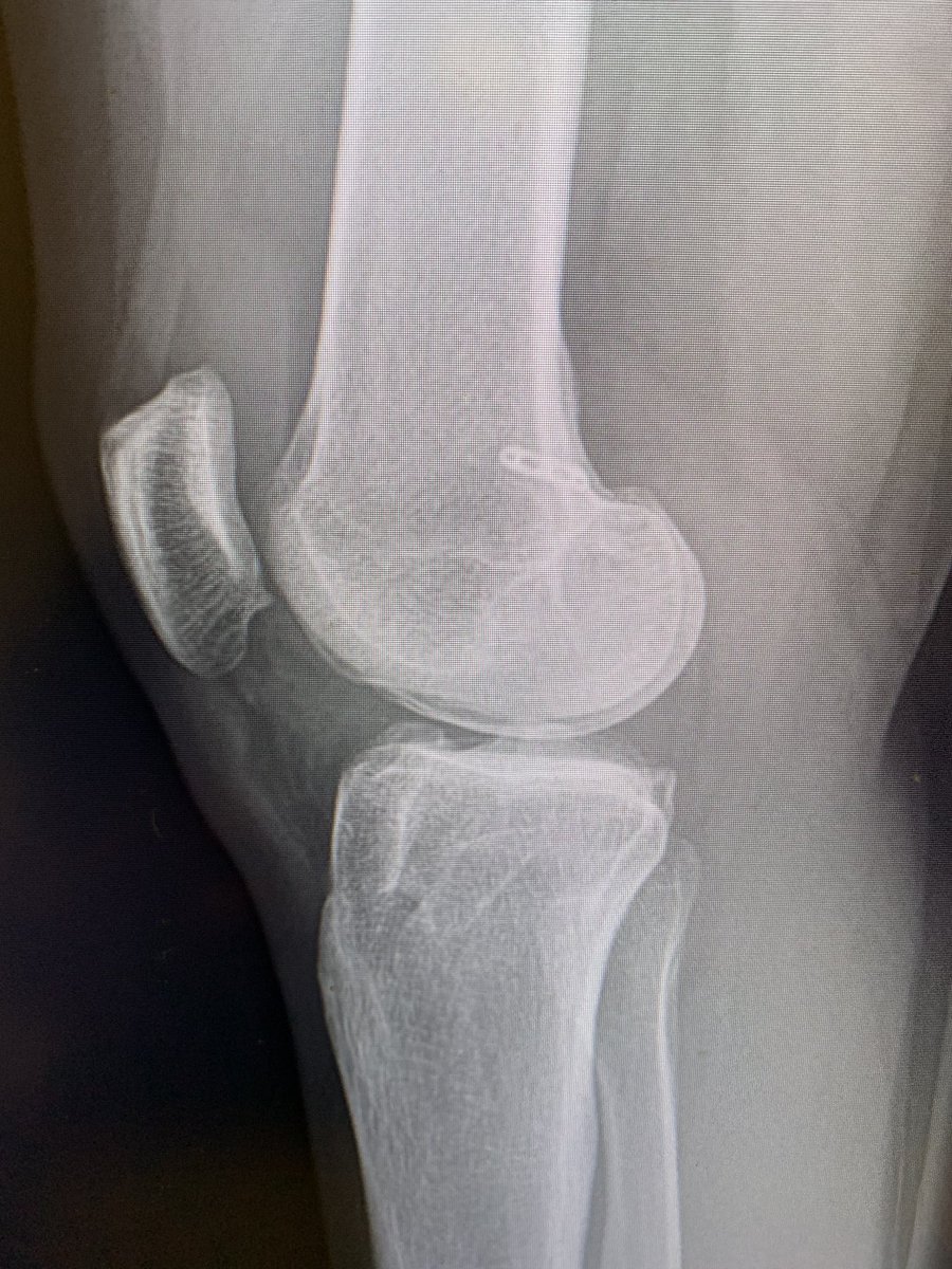 Elizabeth Matzkin MD tweet media