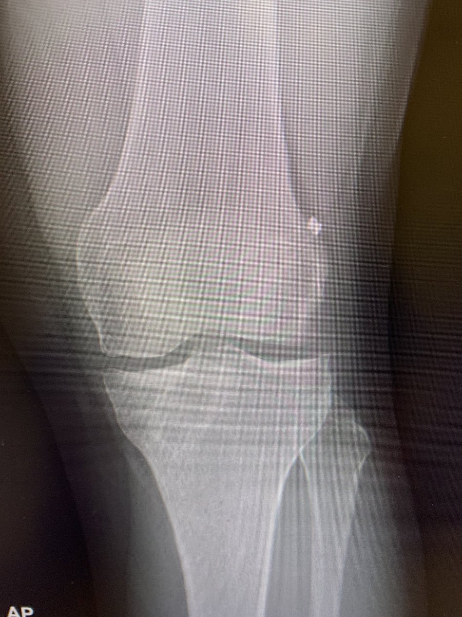 Elizabeth Matzkin MD tweet media